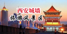 欧美插骚逼中国陕西-西安城墙旅游风景区