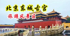 操破处视频中国北京-东城古宫旅游风景区